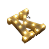Alphabet Letter Lights