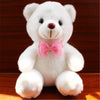 Bear Stuffed Plush Toys Bear Lighting Stuffed Lovely Giant Cartoon Toy Christmas Gifts for Kids