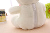 Bear Stuffed Plush Toys Bear Lighting Stuffed Lovely Giant Cartoon Toy Christmas Gifts for Kids