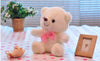 Bear Stuffed Plush Toys Bear Lighting Stuffed Lovely Giant Cartoon Toy Christmas Gifts for Kids