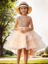 Flower Girls Princess Dress