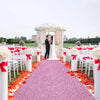 Sparkling Pink Party Carpet T-stage, Holiday Event Red Carpet, Romantic Wedding Aisle T-stage, Ceremony Stage Aisle Long Carpet