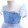 Disney Light- up Elsa Snow Queen Role Playing Dress