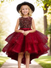 Flower Girls Princess Dress