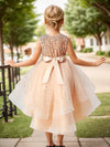 Flower Girls Princess Dress