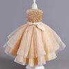 Flower Girls Princess Dress