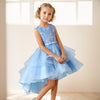 Flower Girls Princess Dress