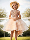 Flower Girls Princess Dress