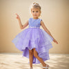 Flower Girls Princess Dress